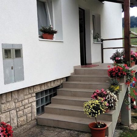 Guesthouse Bor Plitvice Lakes Plitvička Jezera Exterior foto